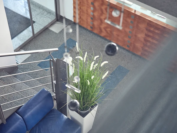 Eine moderne Empfangshalle mit einer blauen Couch, einer großen Pflanze in einem Topf und einem Holzregal im Hintergrund, das eine Uhr zeigt.