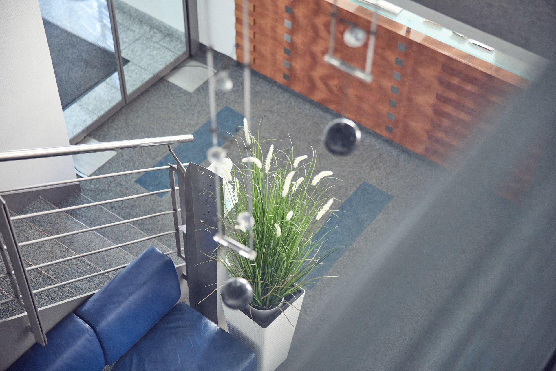 Eine moderne Empfangshalle mit einer blauen Couch, einer großen Pflanze in einem Topf und einem Holzregal im Hintergrund, das eine Uhr zeigt.