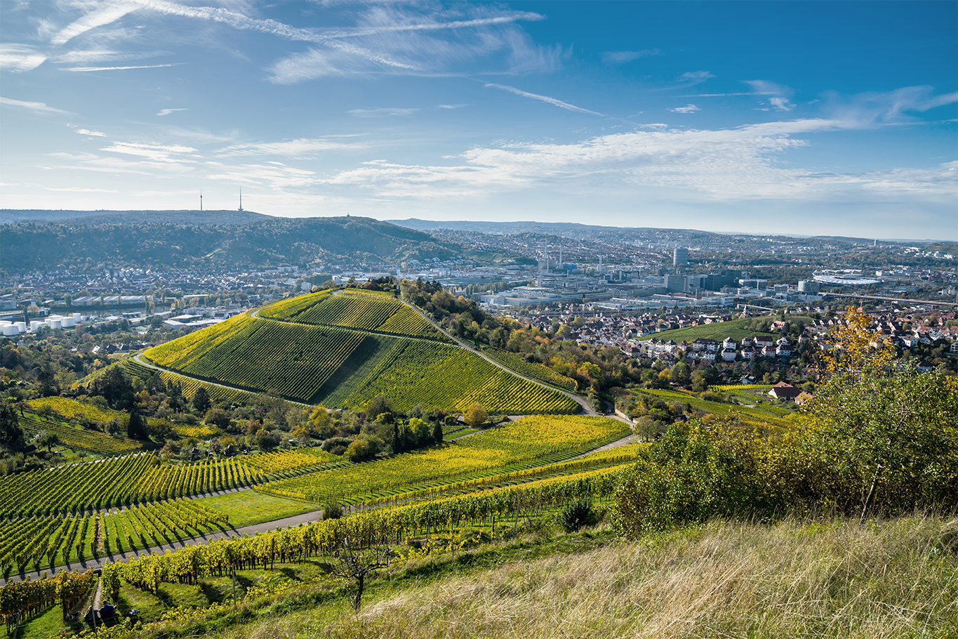 Eine weite Aussicht auf sanfte, grüne Hügel mit Weinbergen, die sich über die Landschaft erstrecken. Im Hintergrund sind die Stadt und moderne Gebäude von Stuttgart sichtbar, umgeben von einem klaren blauen Himmel mit einigen Wolken.